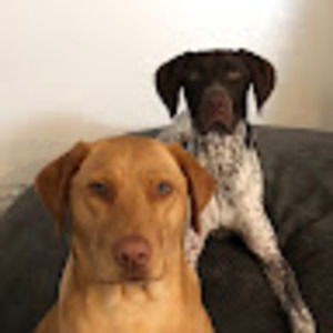 Meet your Posher, Mitchell